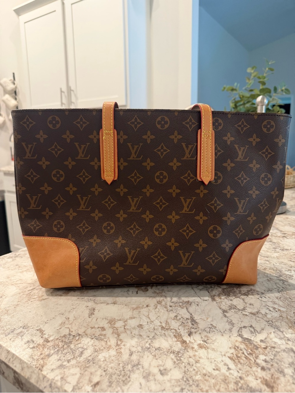 Designer Tote Bag - Brown/Tan